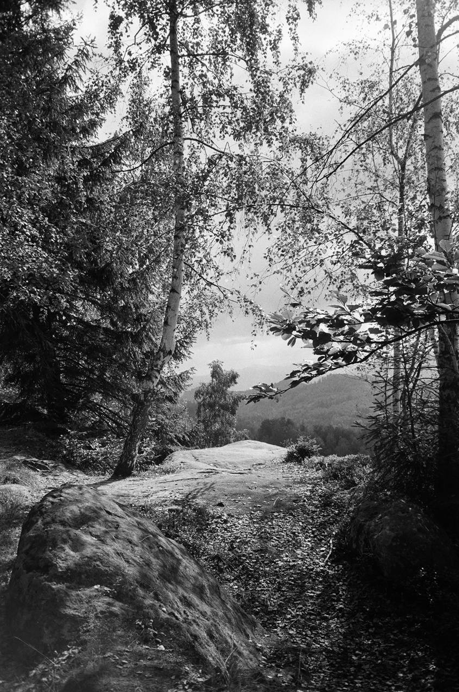 Production image 2