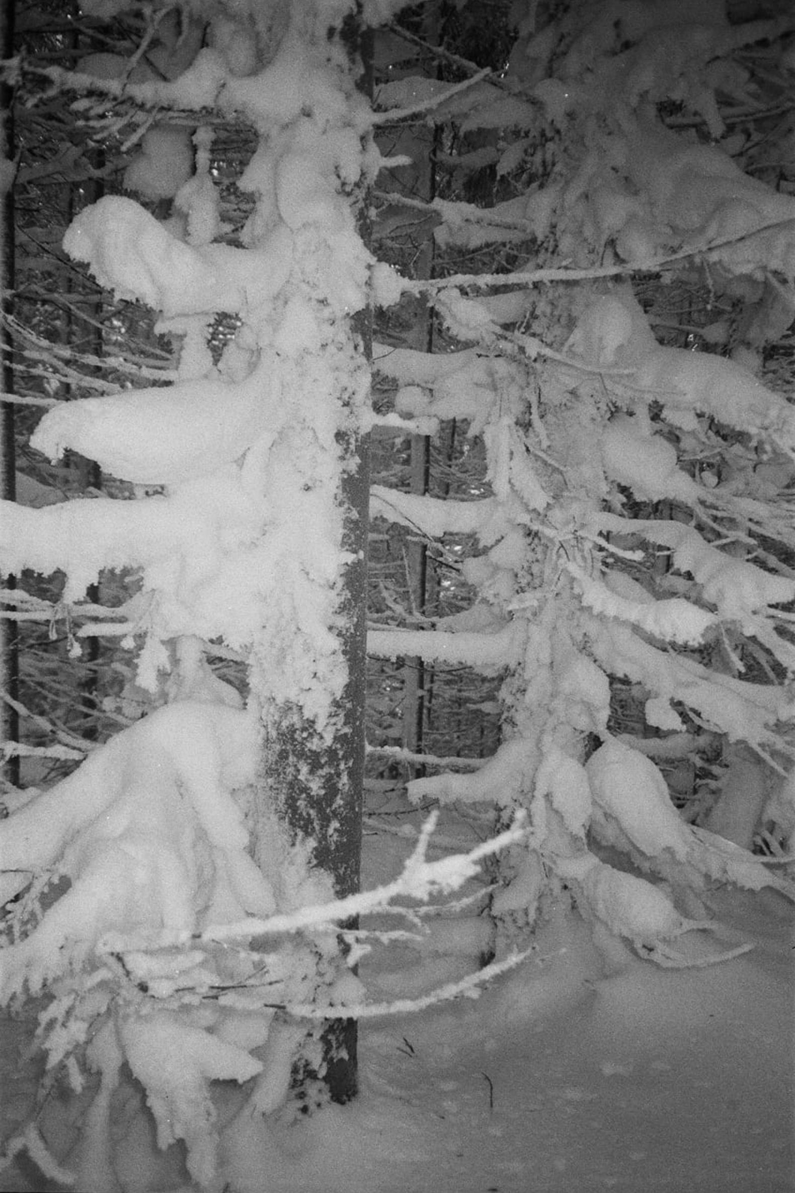 Production image 1