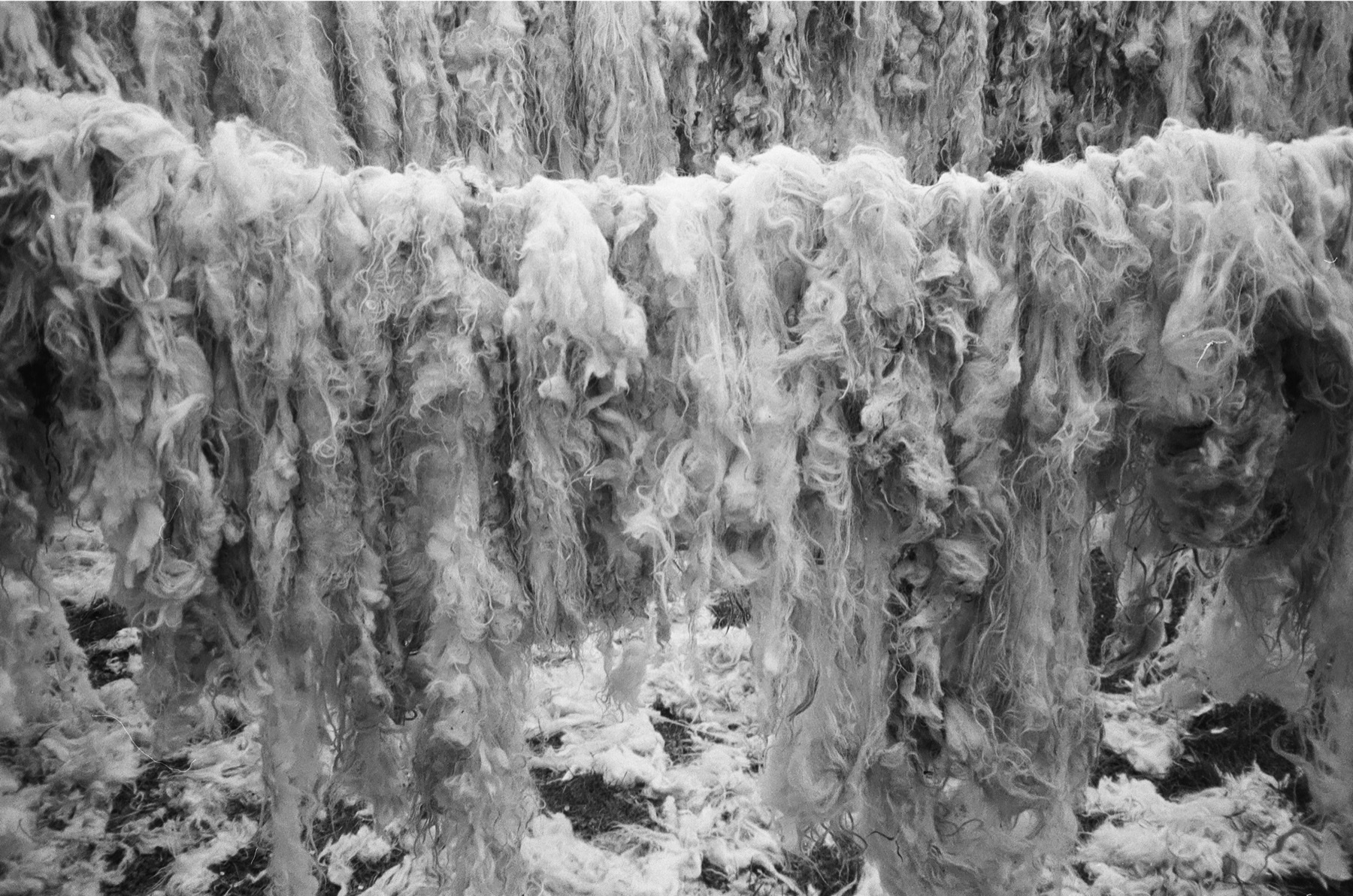 Production image 2