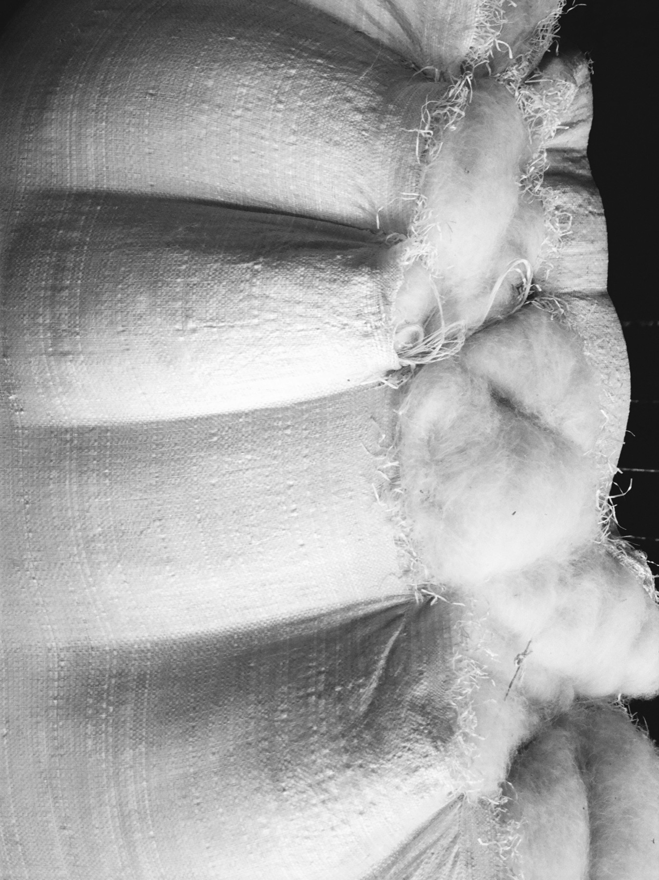 Production image 3