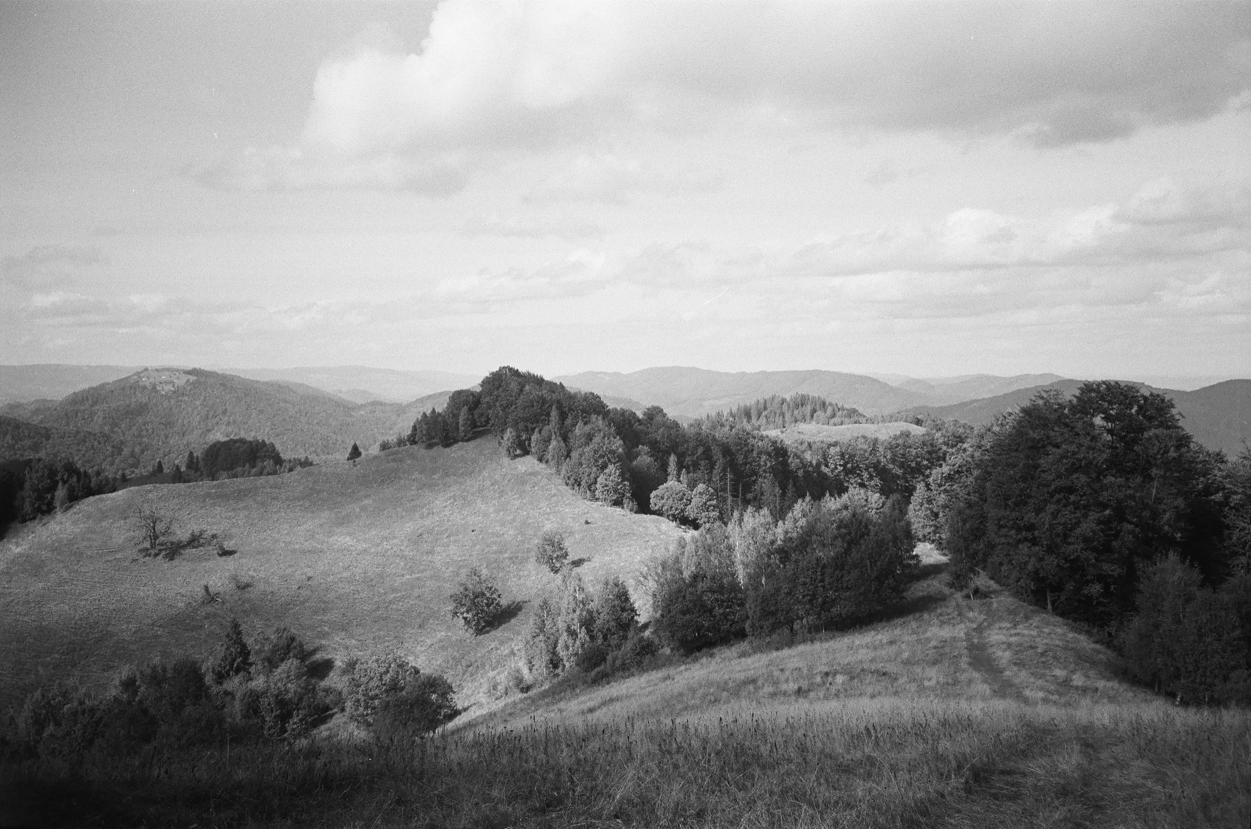 Production image 7