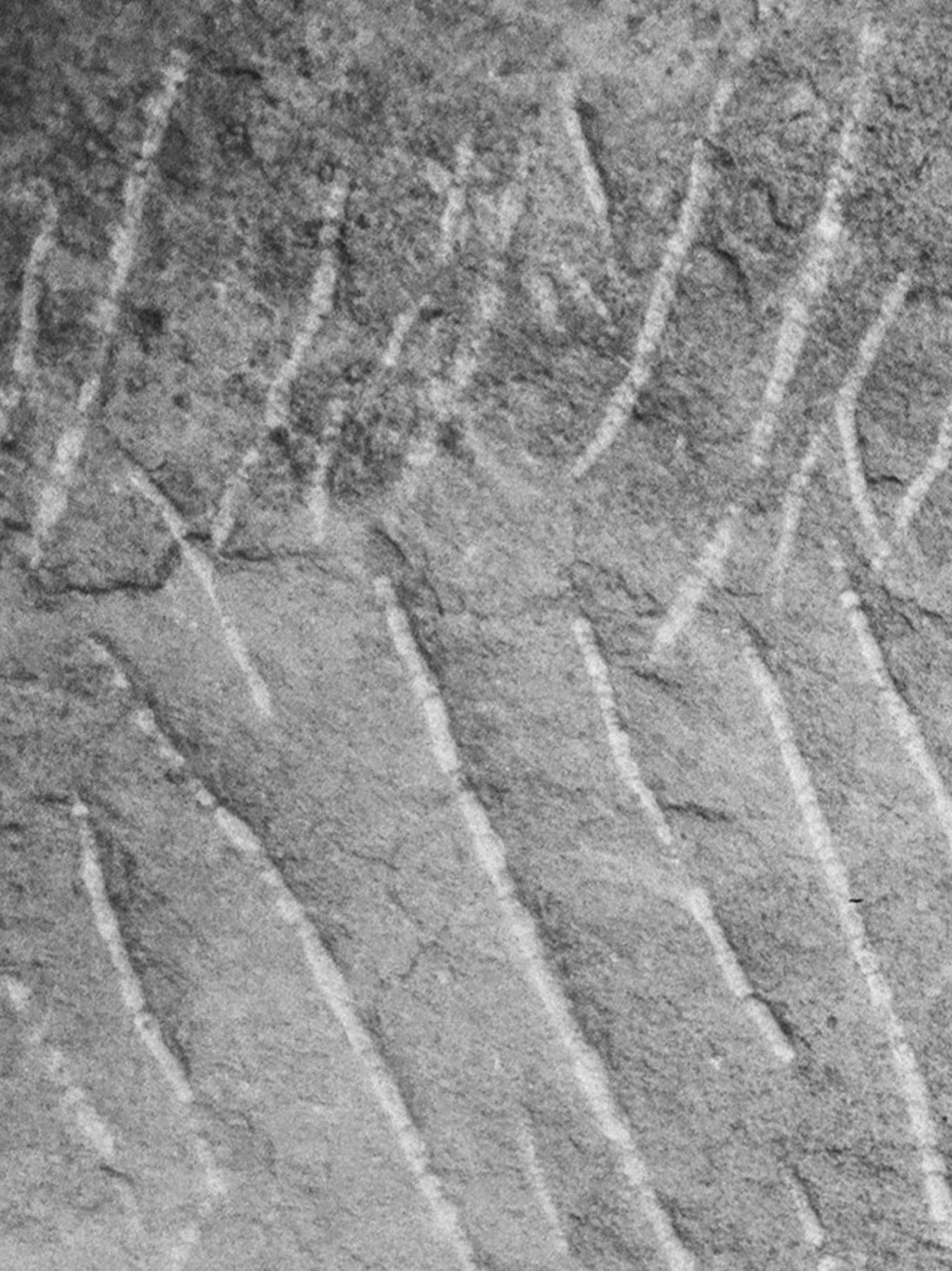 Production image 8